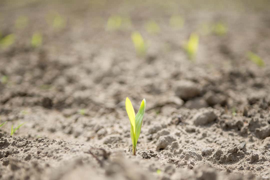 Das kostet ein Hektar Land In einem Bundesland waren die Grundstücke mit Abstand am teuersten