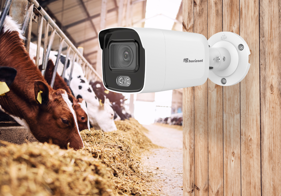 Neu: horizont Hof- und Stallkamera Vision Line | top agrar online