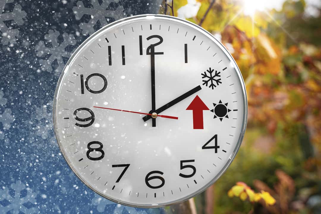 Time change on Sunday: Not just a problem for wild animals