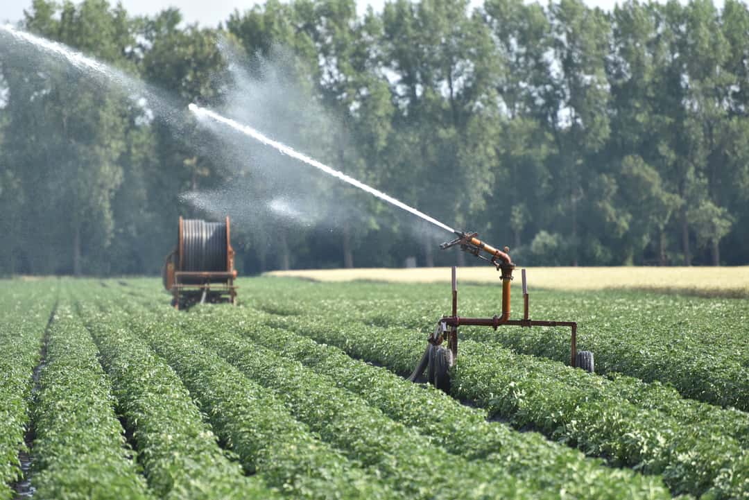Tut die Politik genug für das Wassermanagement in der Landwirtschaft?