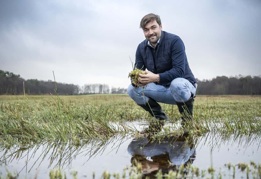 Wiedervernässung der Moore Paludikultur Torfmoos als Alternative zur