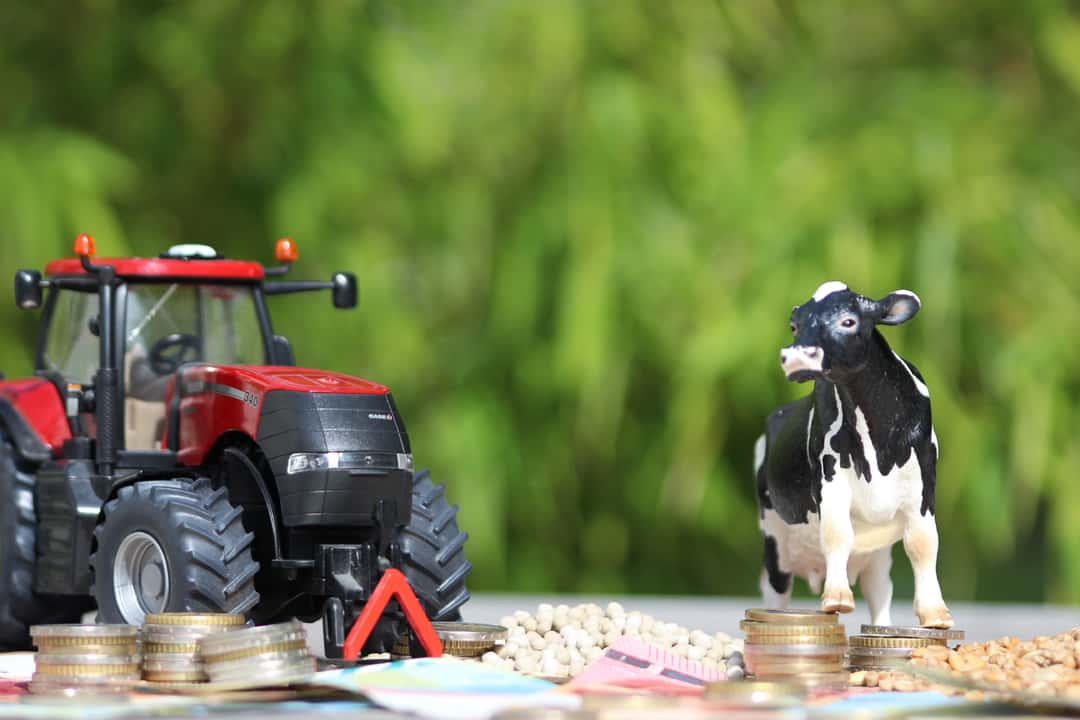 Nikola Steinbock von der Landwirtschaftlichen Rentenbank sagt, ob die