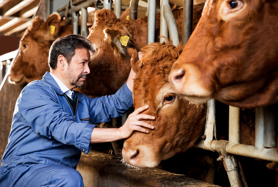 Antibiogramm wird verpflichtend | top agrar