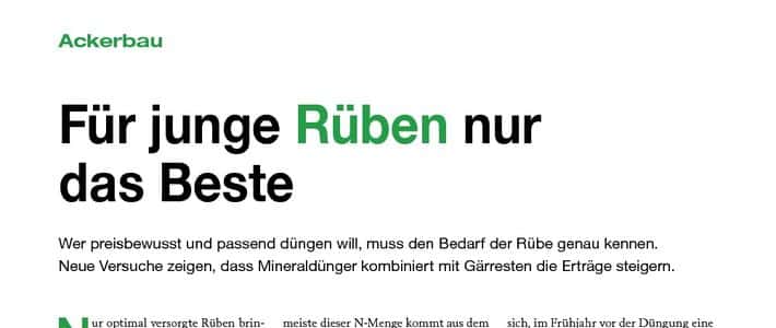 Fr junge Rben nur das Beste | top agrar