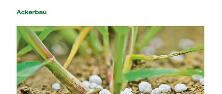 So helfen Sie Ihrem Getreide auf die Sprnge | top agrar