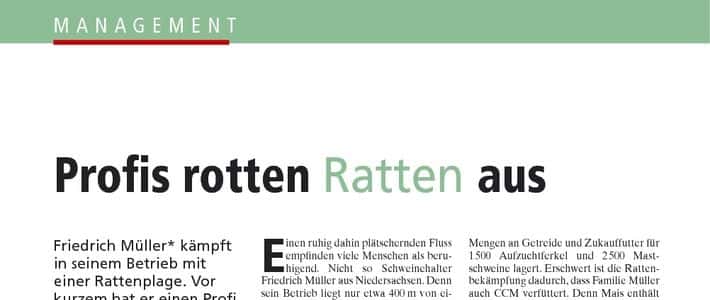 Profis rotten Ratten aus | top agrar