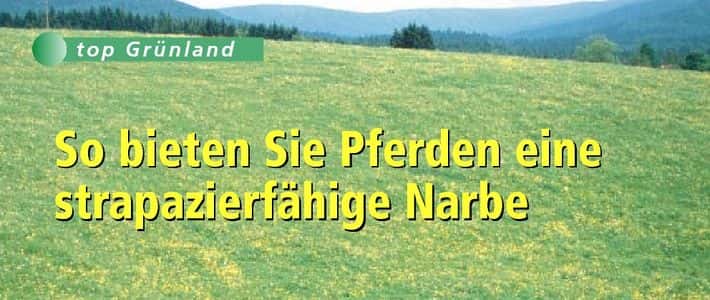 Pferdeweiden: Tipps zur Dngung | top agrar