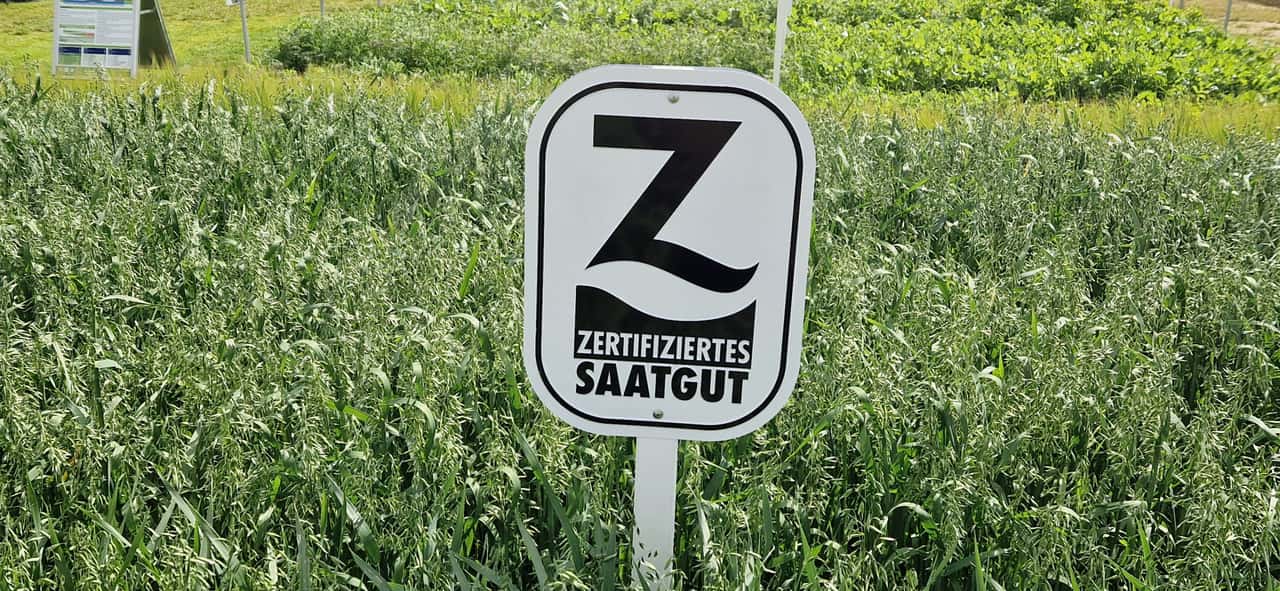 bio gemse saatgut BIO Saatgut Snack-Tomaten Mix  Biogartenladen