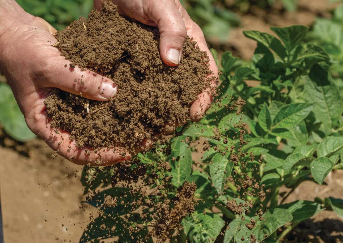 Fachwissen zum Weltbodentag 2024: Was Landwirte ber ihren Boden wissen  sollten | top agrar