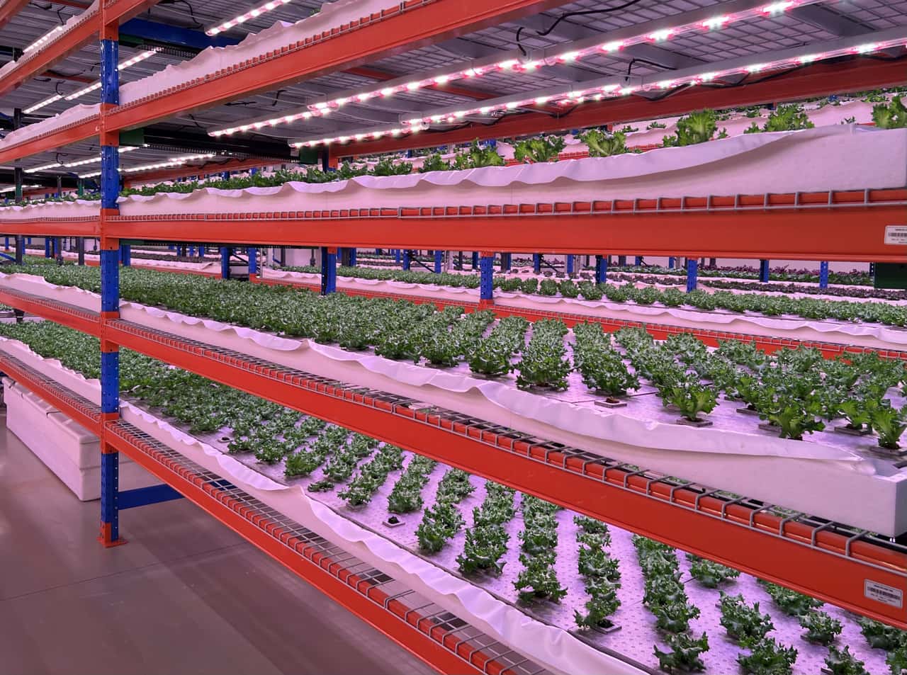 Is there potential in indoor farming?