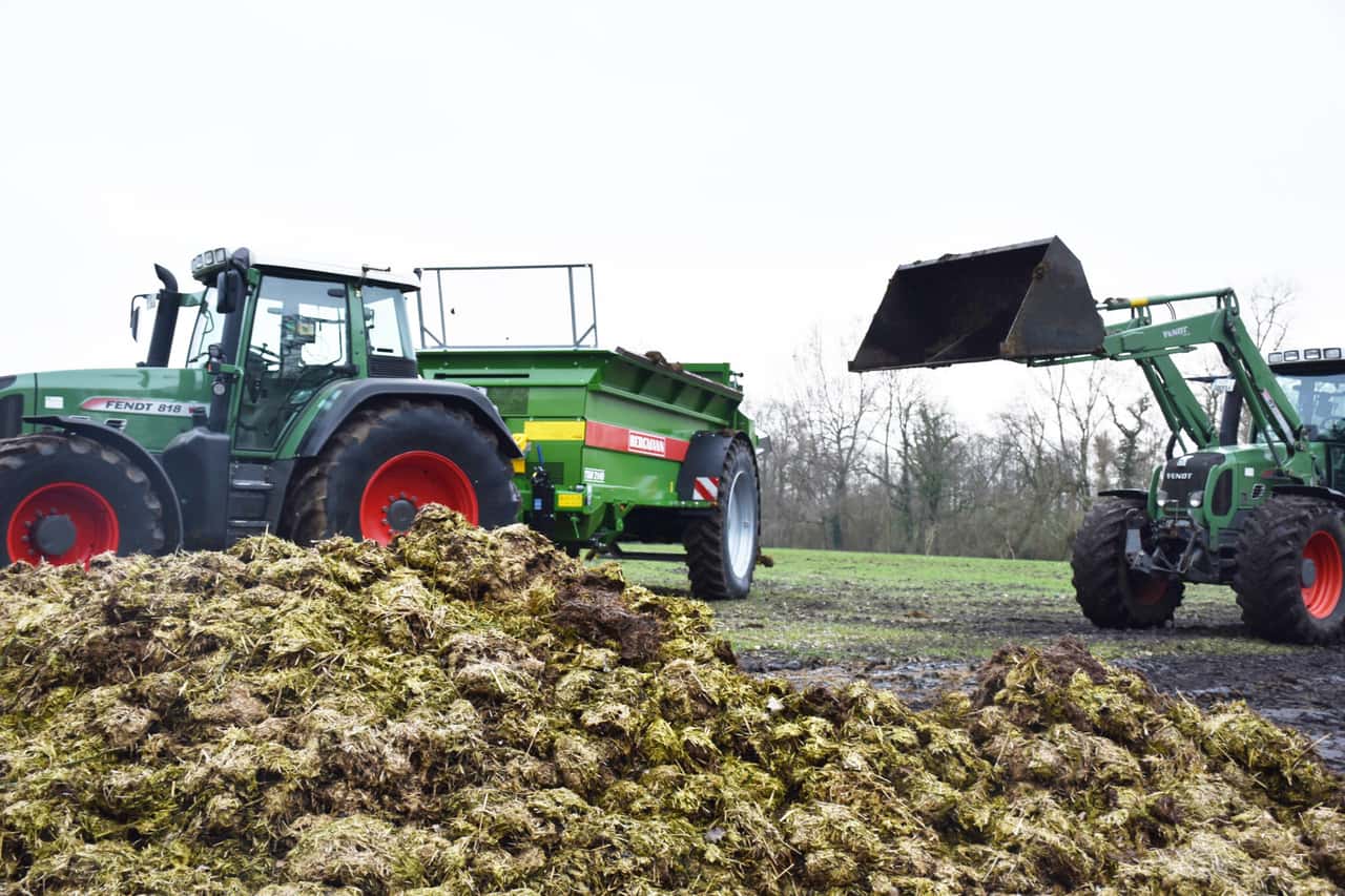 Rindermist-als-D-nger-Wie-finden-Betriebe-einen-fairen-Preis-