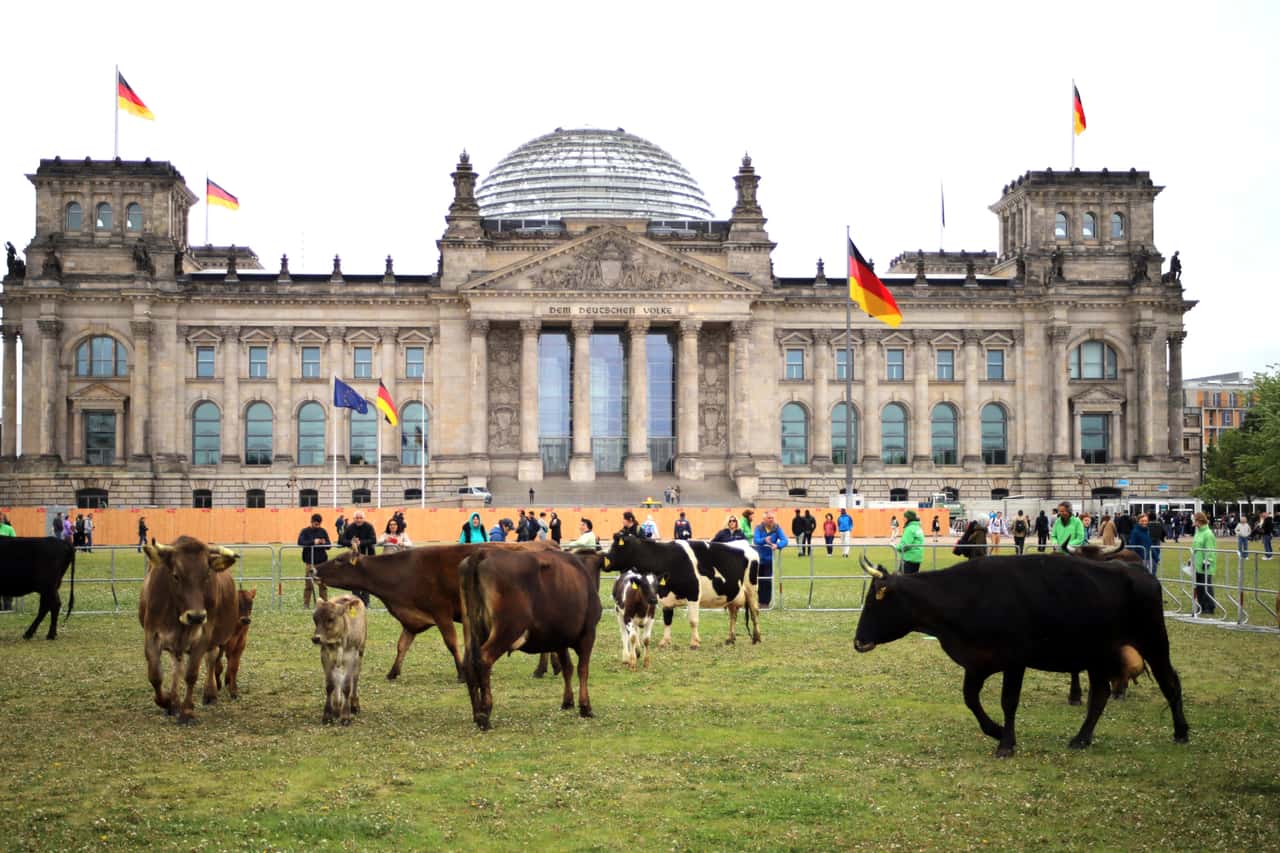 Diese-Agrarpolitiker-sitzen-im-neuen-Bundestag