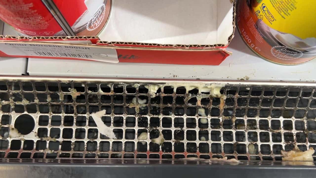 RTL team Wallraff uncovers serious hygiene deficiencies at Kaufland