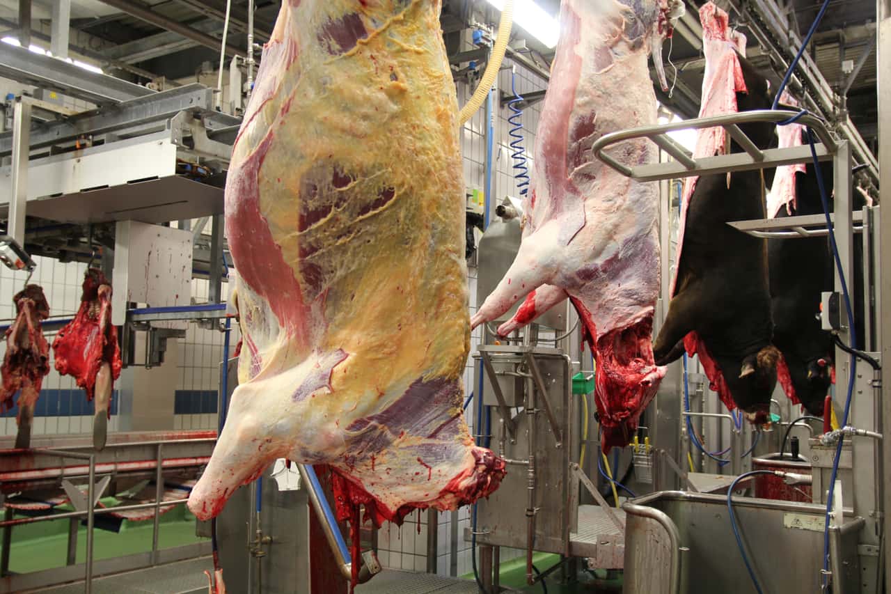 Are we facing a peak in beef production?