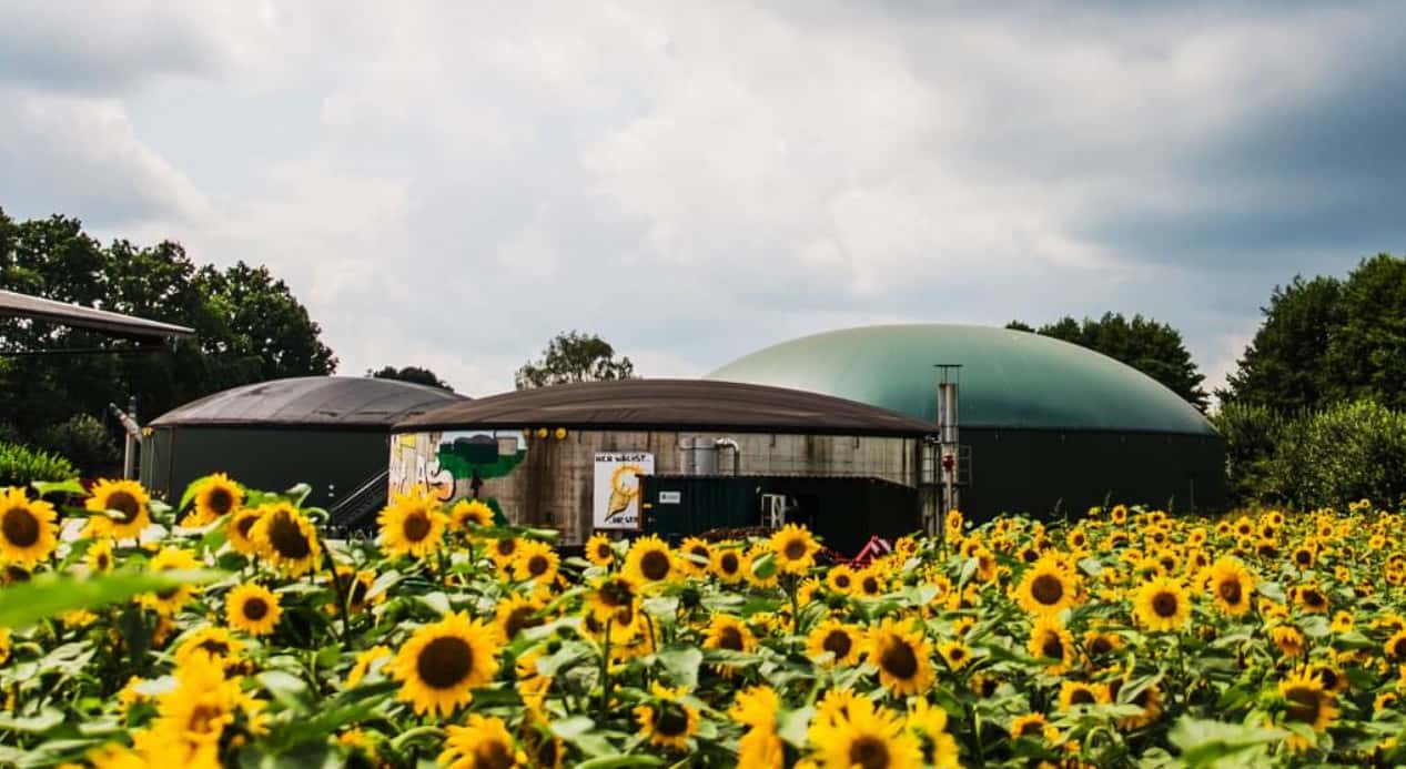 Dark doldrums: Biogas can close half of the electricity gap