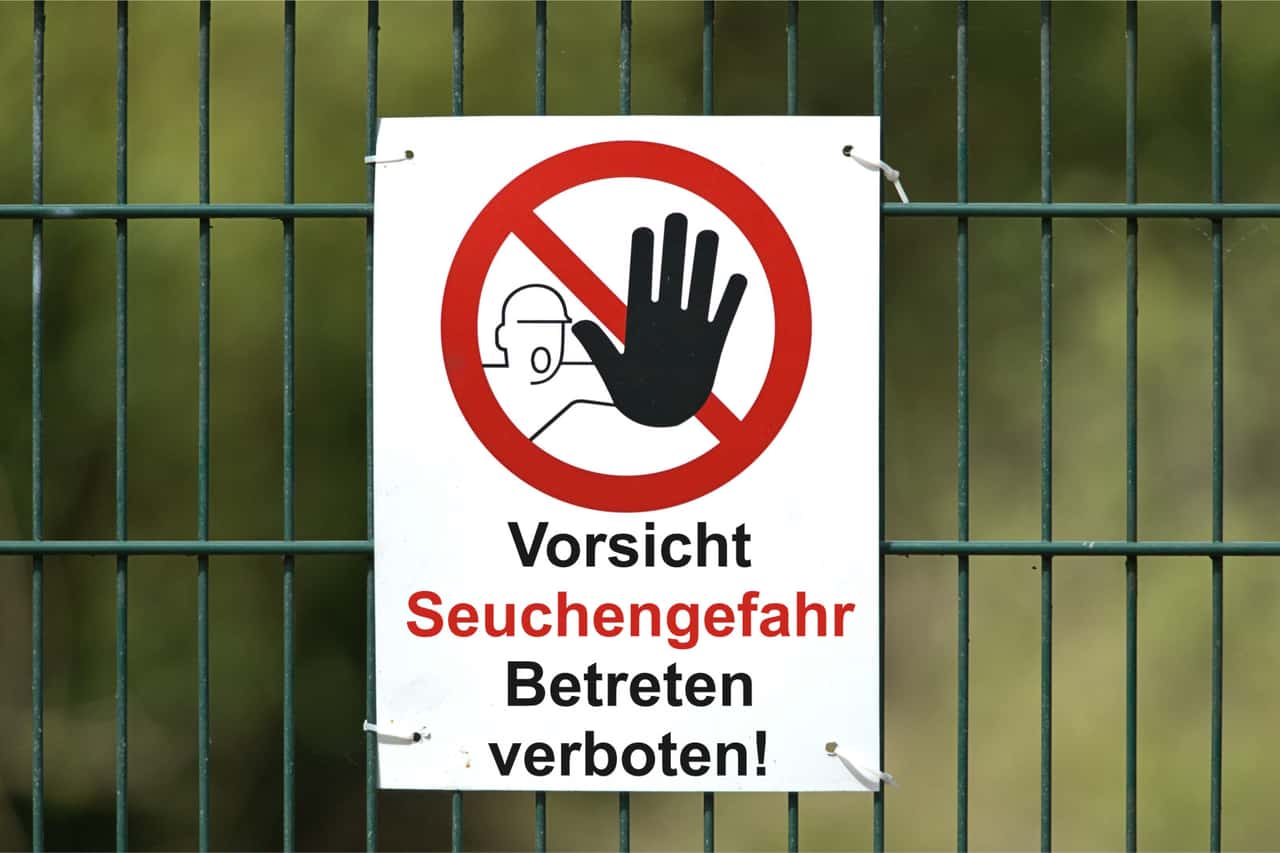 EU approves aid for foot-and-mouth disease farms