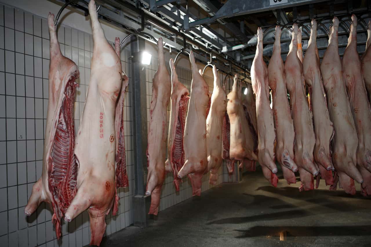 World's largest meat company aims to go public on the US stock ...
