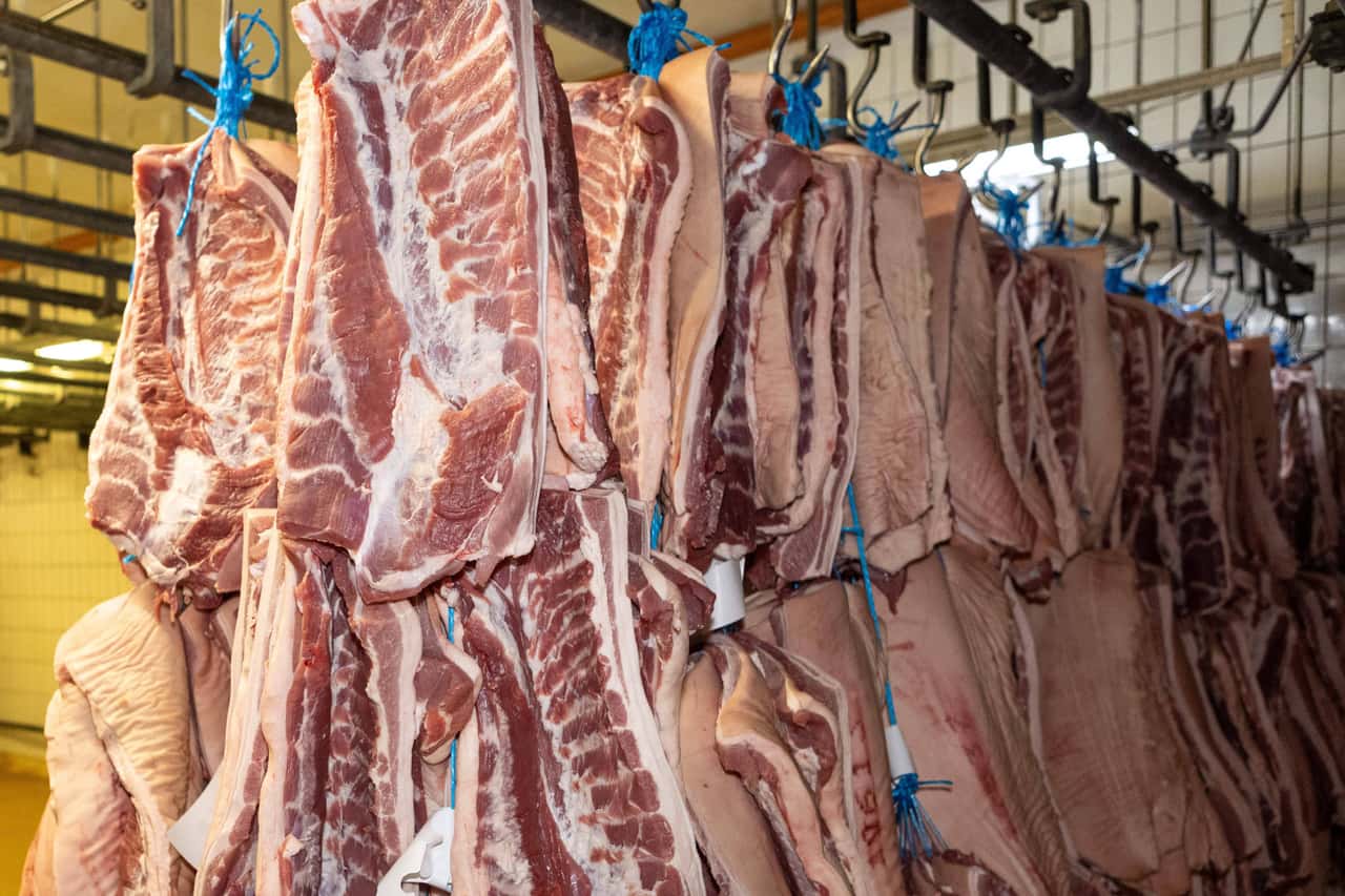 Spanish slaughterhouses suffered €190 million in damage due to power ...