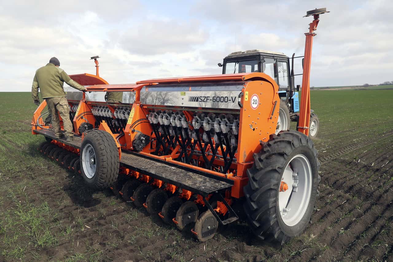 Lack of rain reduces harvest prospects in Ukraine