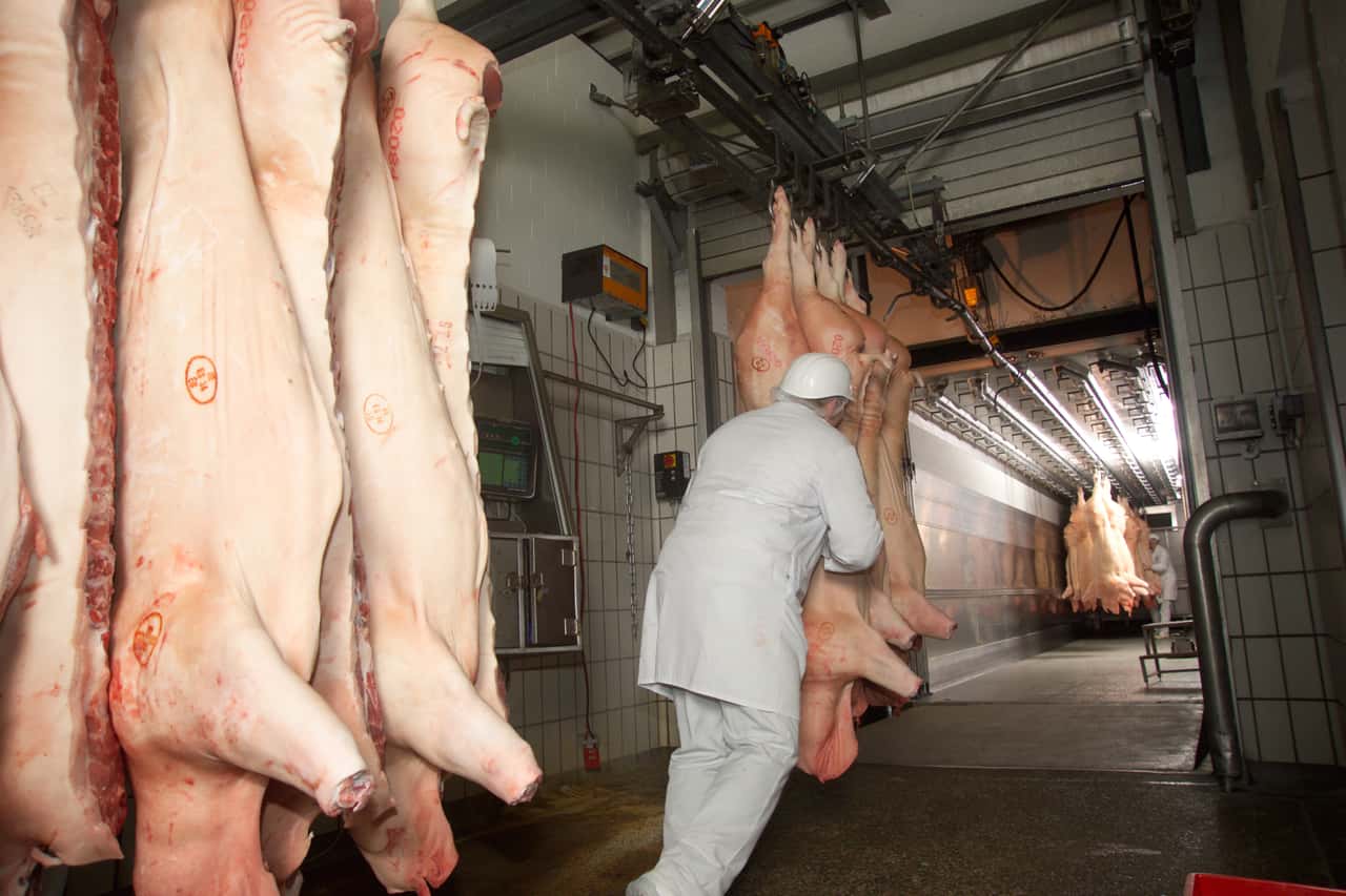 US tariffs delay international pork trade