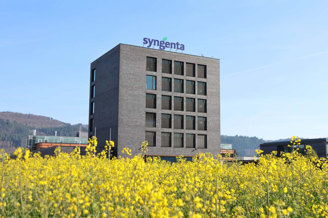 Syngenta-Gesch-fte-laufen-wieder