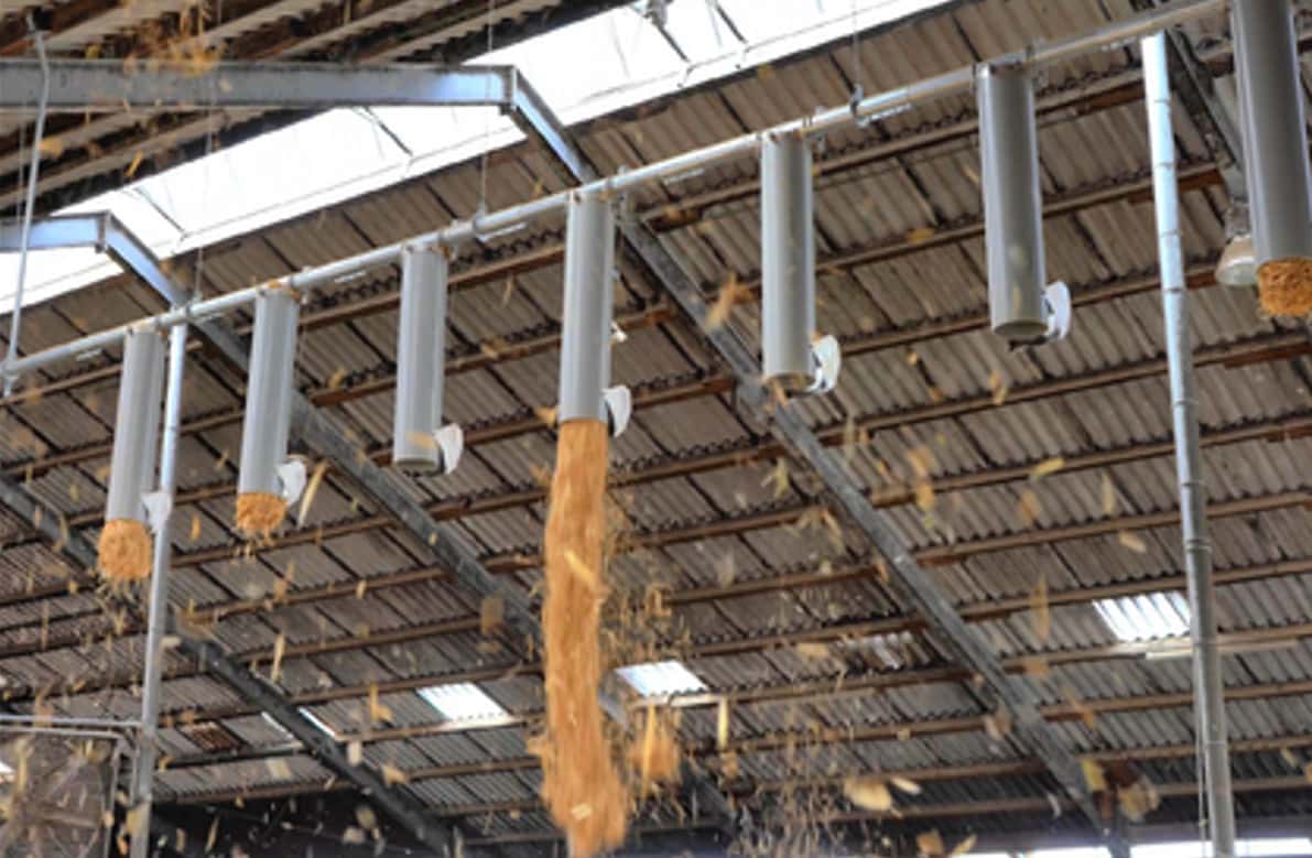 Dairy farmer reduces workload with Strohmatic light bedding system
