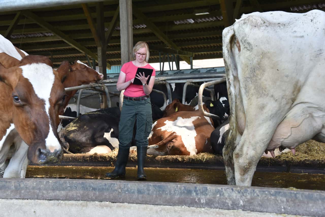 Milk climate platform now standardized nationwide