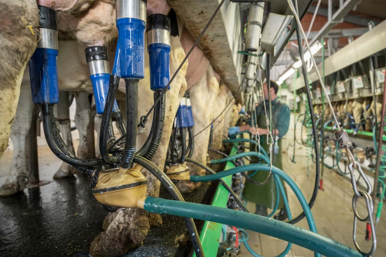 Milk prices continue to rise in some cases in April