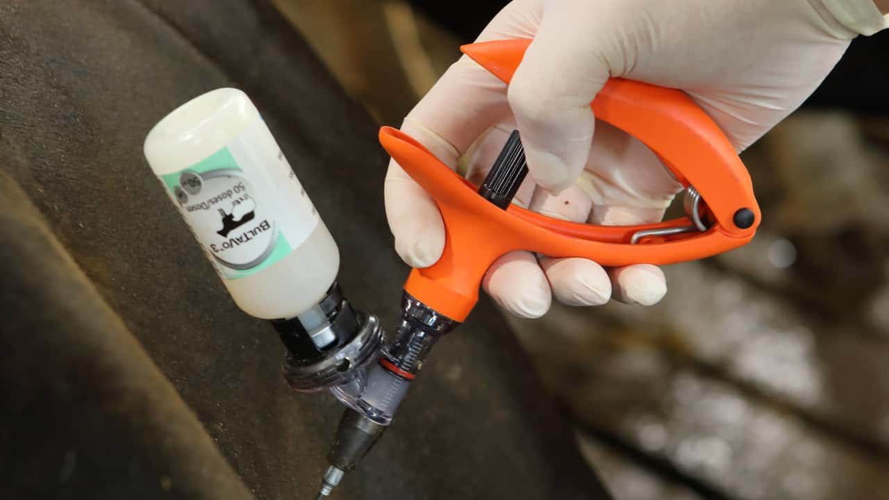 Third bluetongue vaccine receives approval