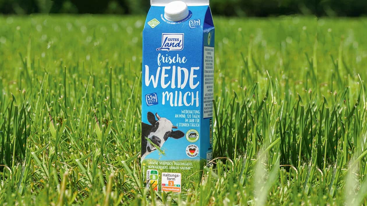 Point of contention: Pasture milk only with outdoor exercise yard
