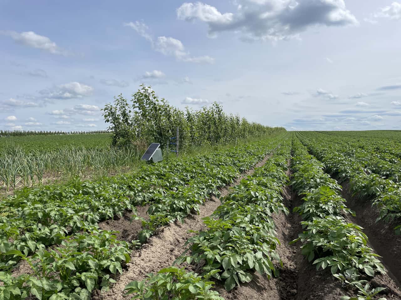 Funding law: Less GAEC and a return of the winter furrow for organic ...