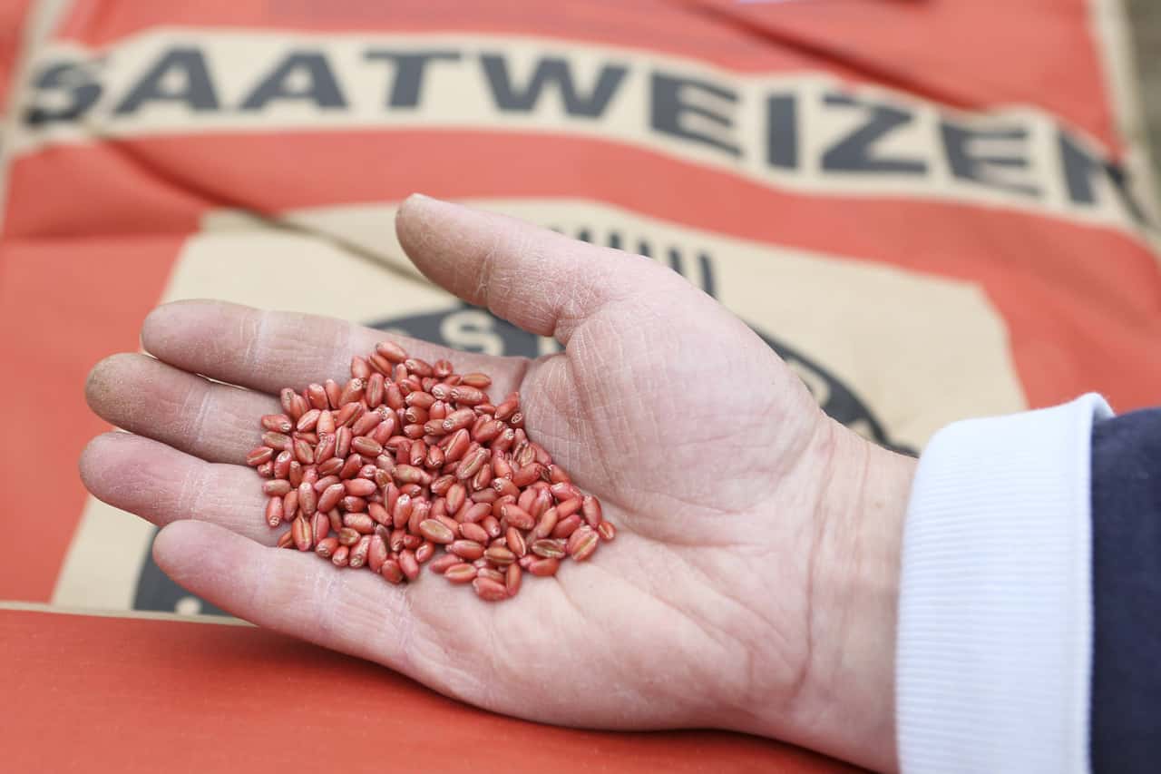 Companies demand a broad portfolio of seed treatment options