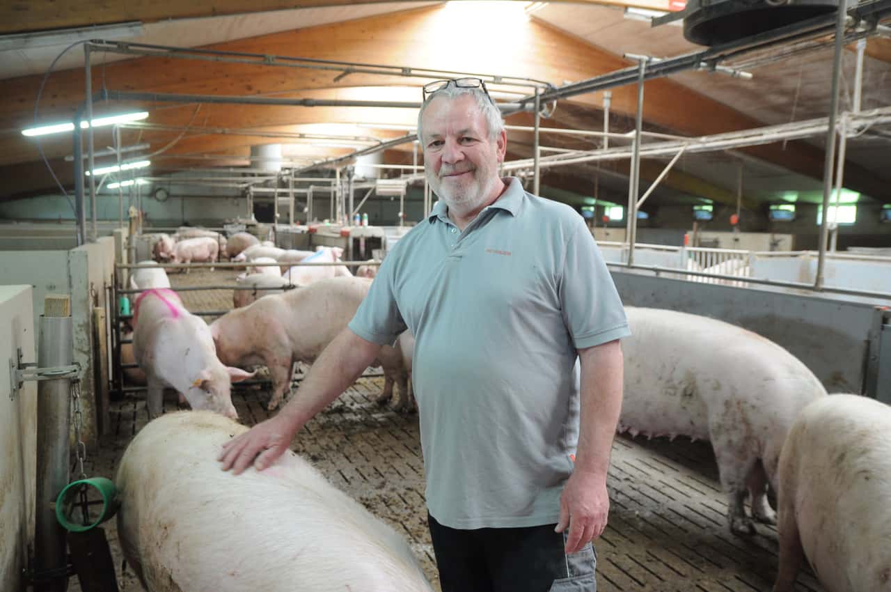 Why a pig farmer from Bavaria is also switching its piglet production to ...