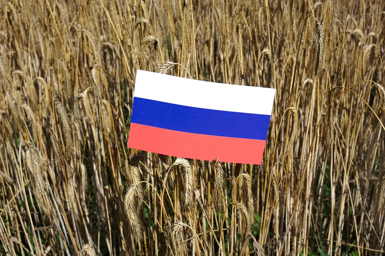 Russia's wheat exports have fallen significantly