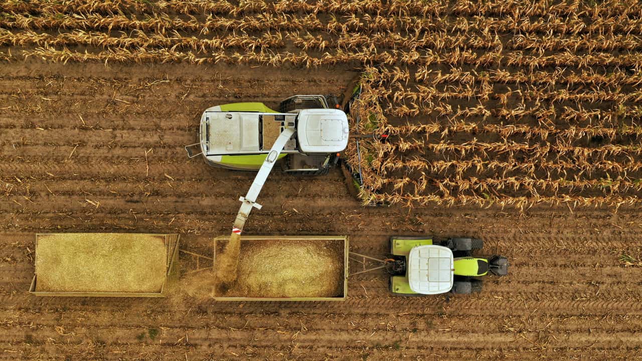 German Working Group for Peasant Agriculture: EU must intervene in ...