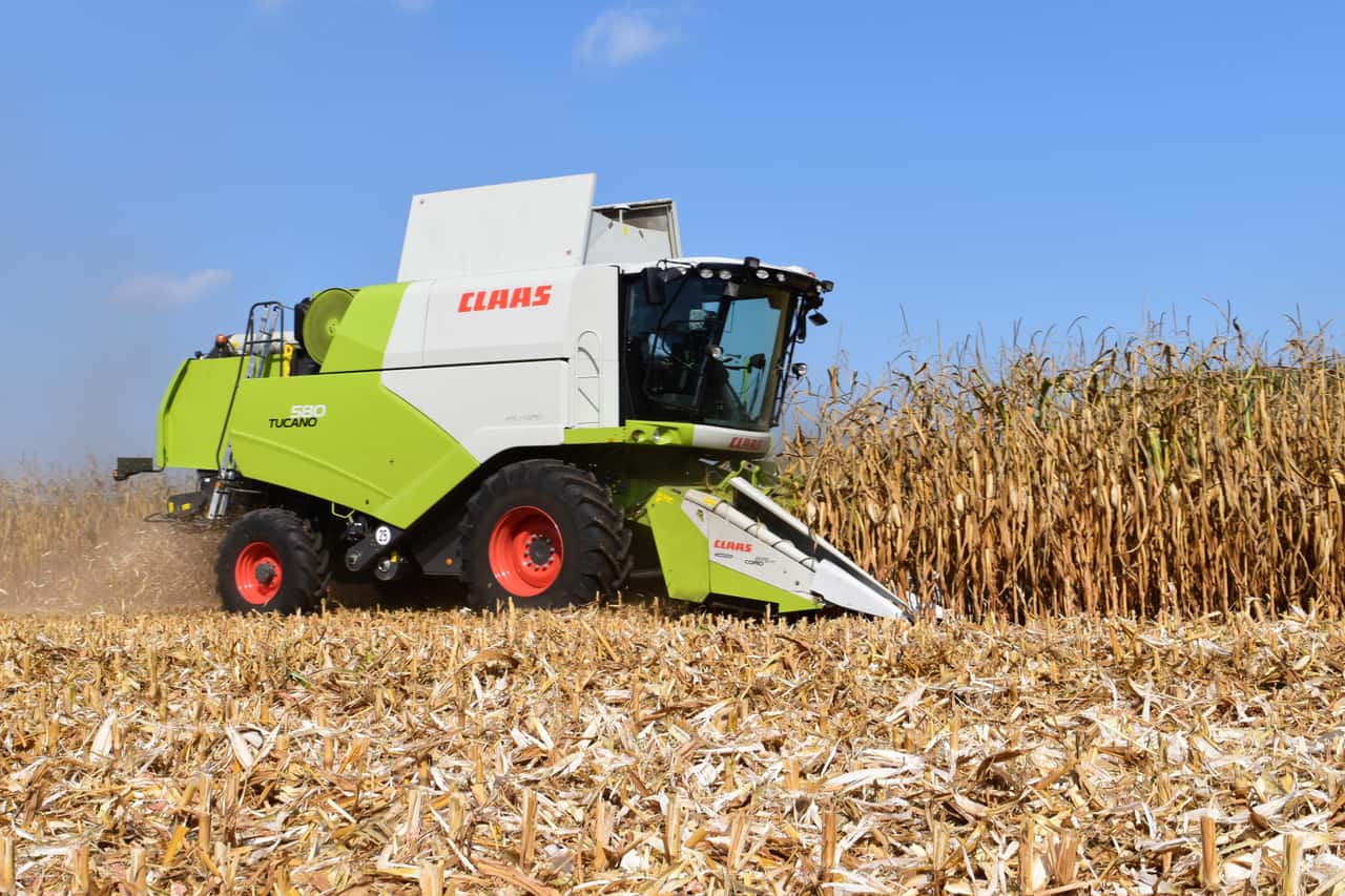 Short supply on the corn market