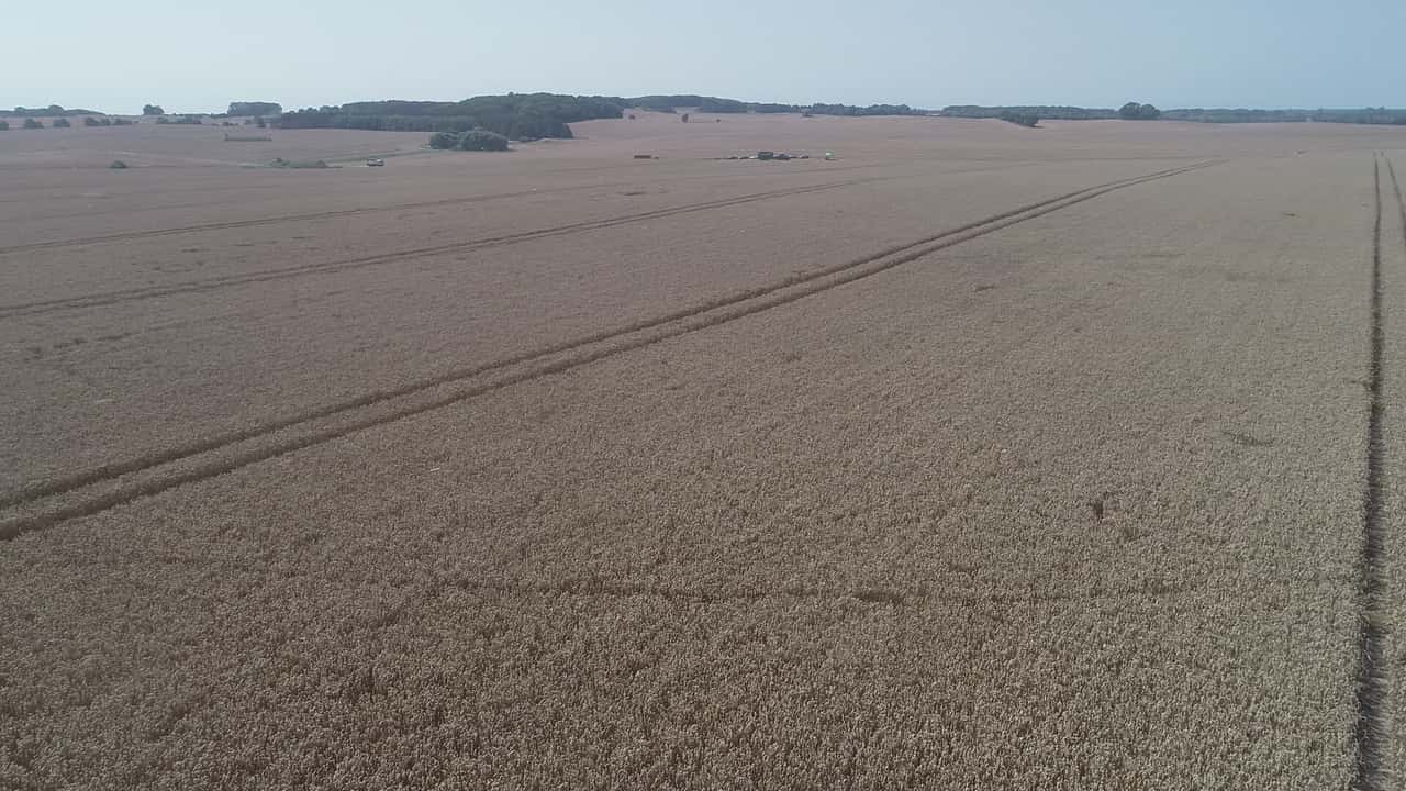 20,000 ha deal: DAH Group goes to Australian