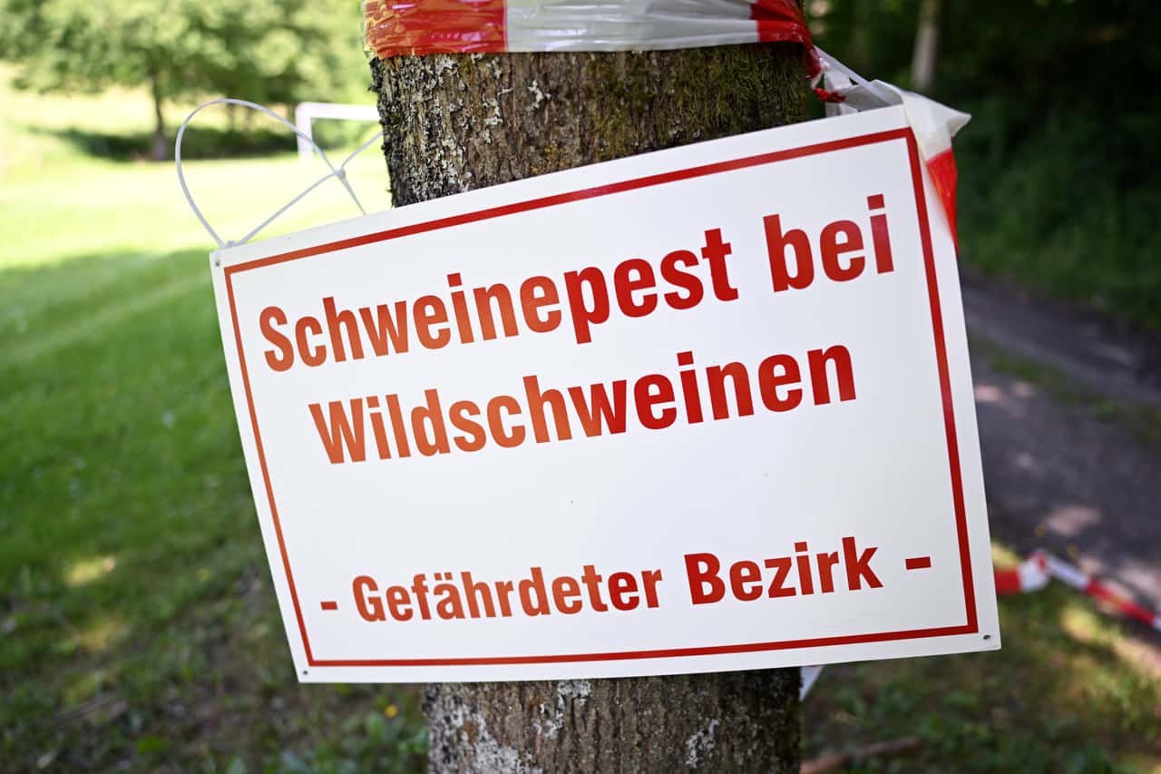 Was-bislang-zur-ASP-in-NRW-bekannt-ist