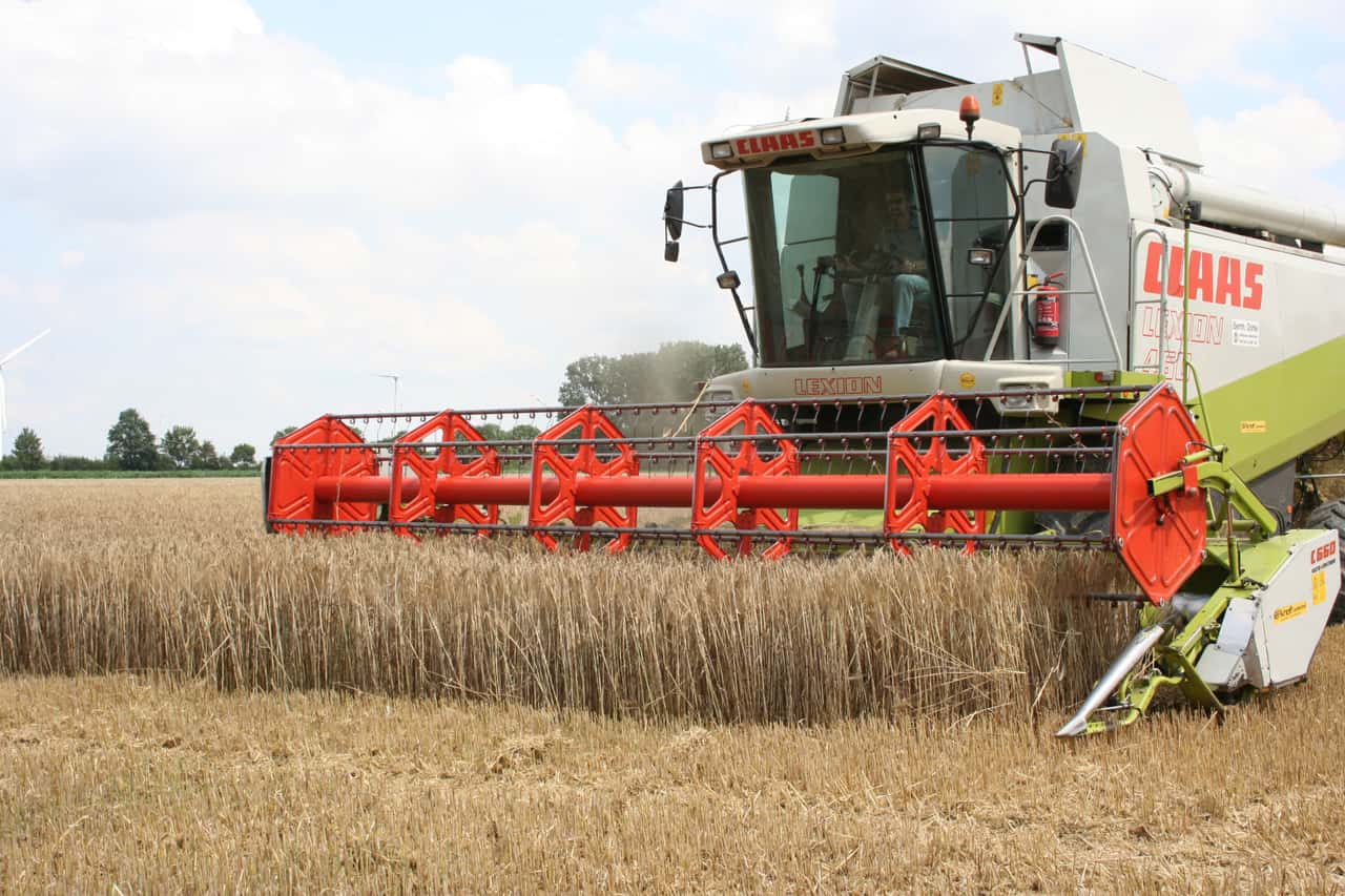 After the rain, there is renewed confidence about the 2025 grain harvest.