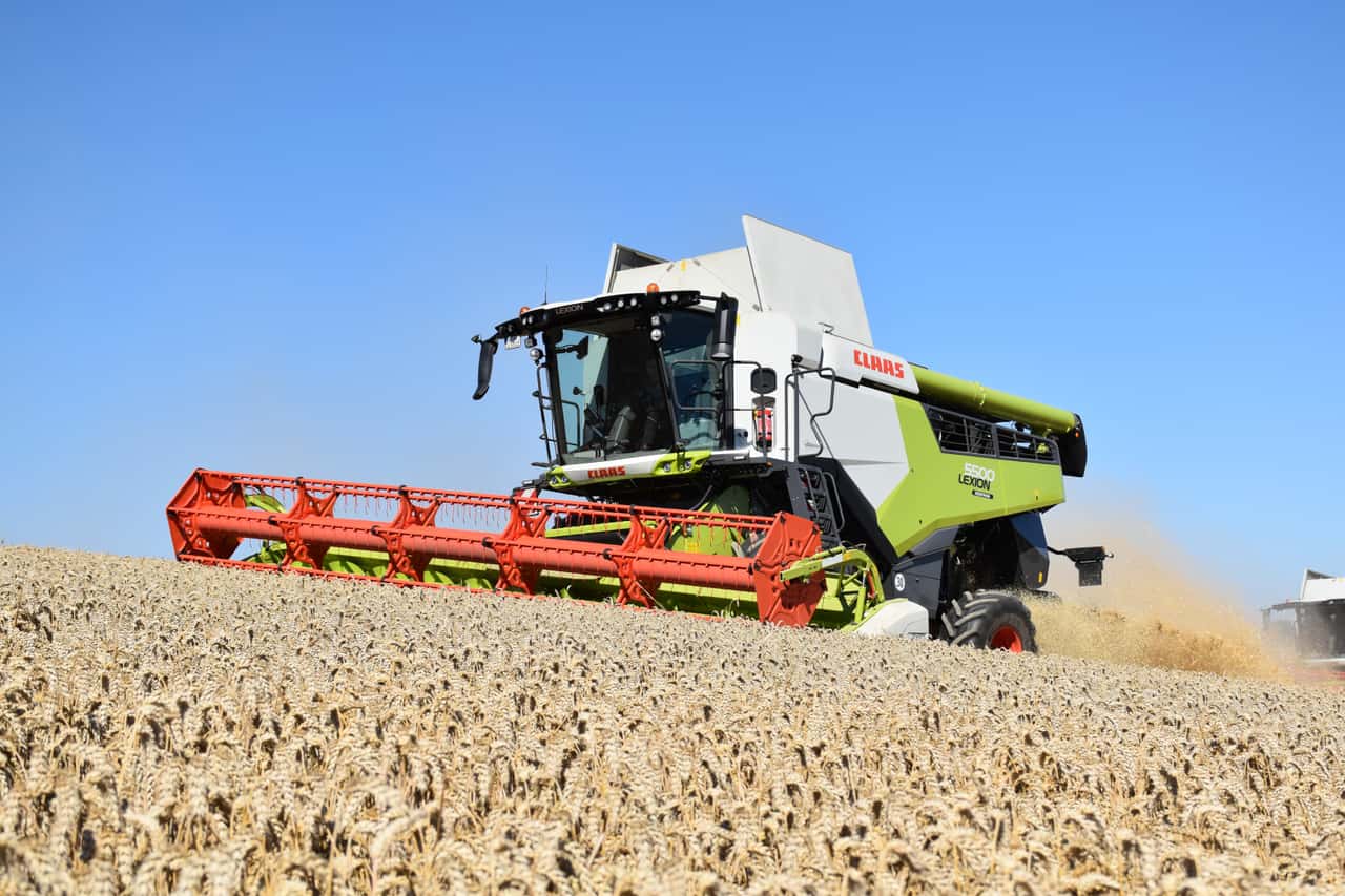 Grain harvest in Europe: Good yields in the south, water shortages in the ...