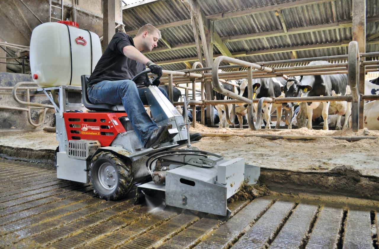 Westermann-Cleanmeleon-2-w-scht-und-trocknet-Spalten-bei-einer-berfahrt