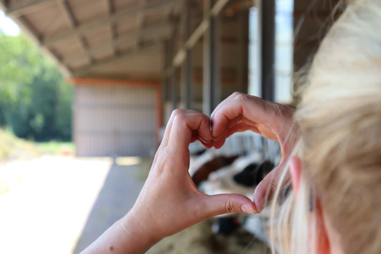 Wir-suchen-Eure-sch-nsten-Sommerfotos-mit-Rindern