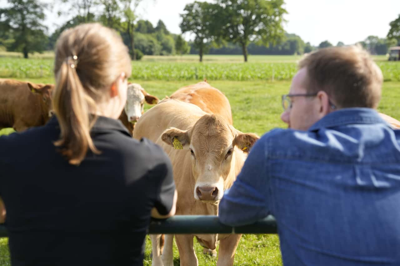 Landwirte-teilen-Meinung-ber-Tierhaltungskennzeichnung-die-Ernte-und-das-BMLEH