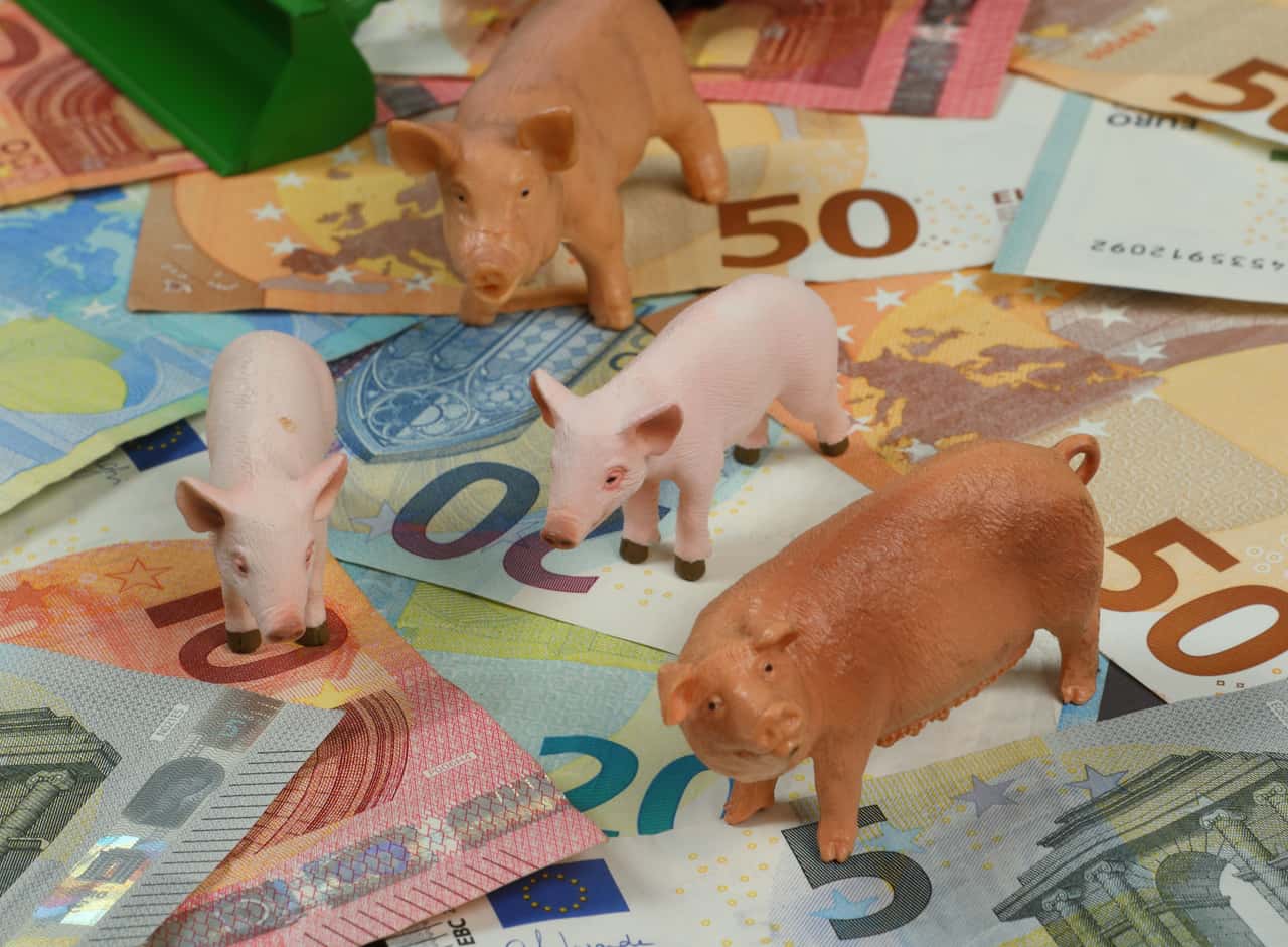 Corona aid: Almost 300 pig farmers have had to repay so far