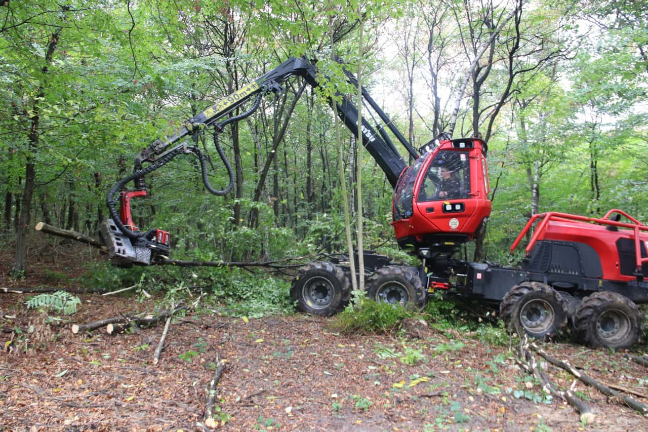 Majority in favor of objection to deforestation regulations