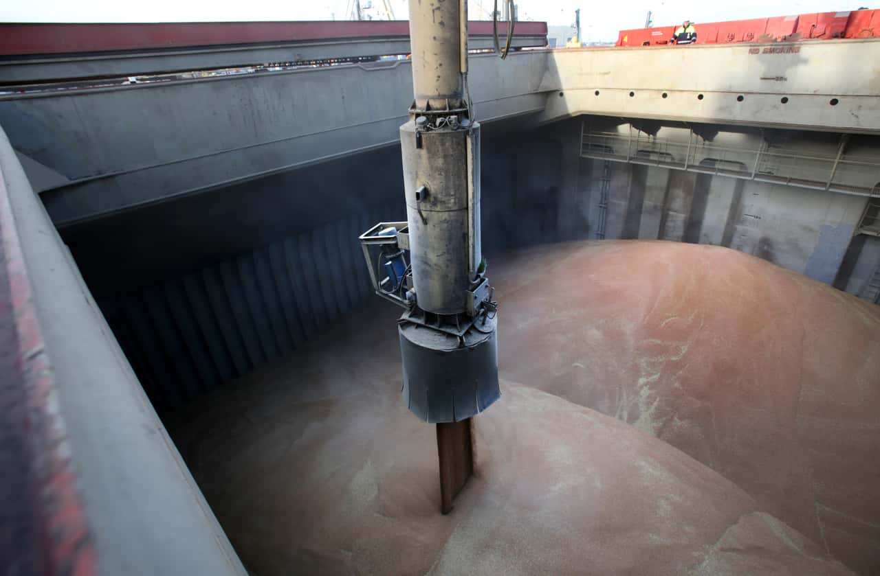 Deep red balance: European grain exports collapse by almost 19 million ...