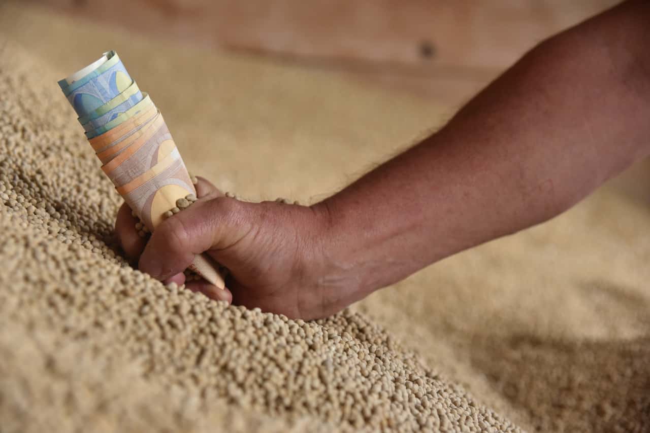 German government believes: Sanctions on Russian fertilizers have no ...