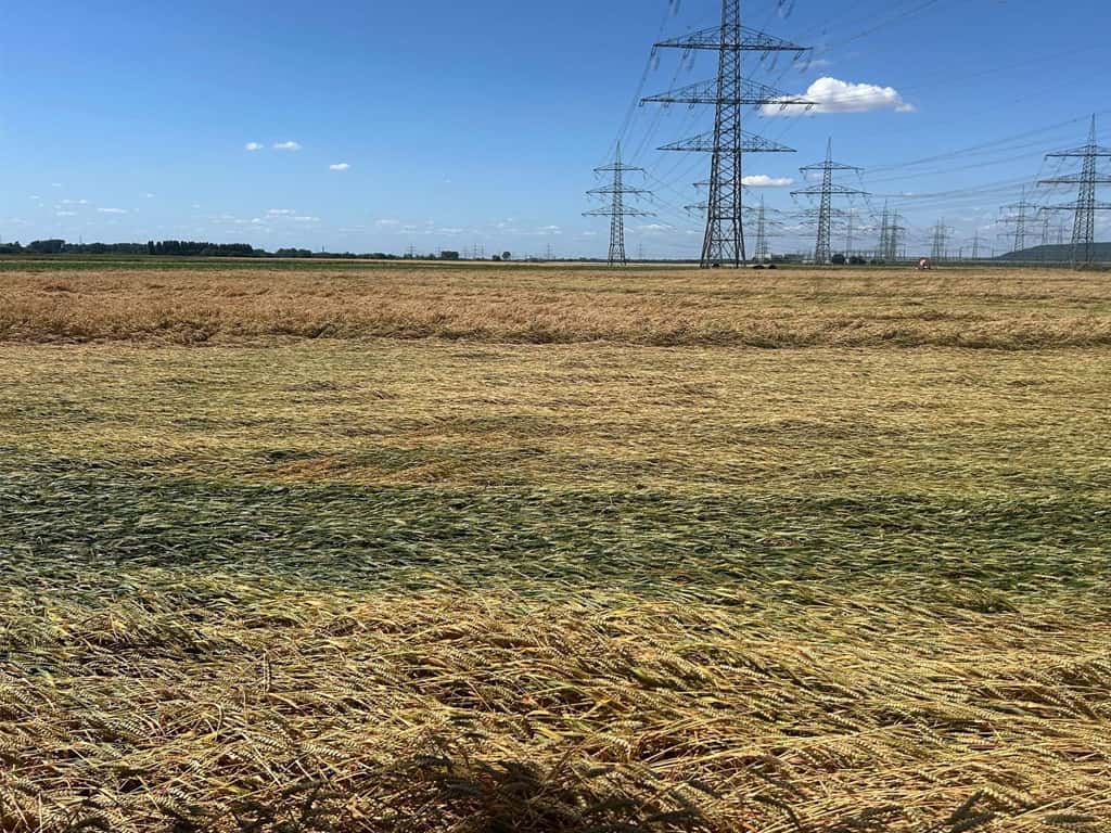 Severe storms hit harvest-ready crops - | United Hail in continuous use