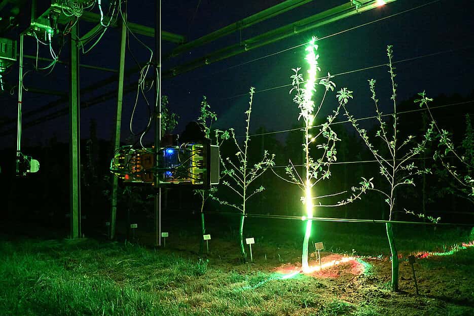 Neuer-3D-Laserscanner-f-r-Ernteroboter-entwickelt