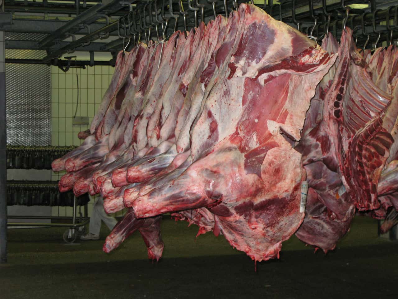 Deutschland-importiert-mehr-Rindfleisch-aus-dem-Ausland